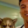 Profile picture of Veterinarian Gomes